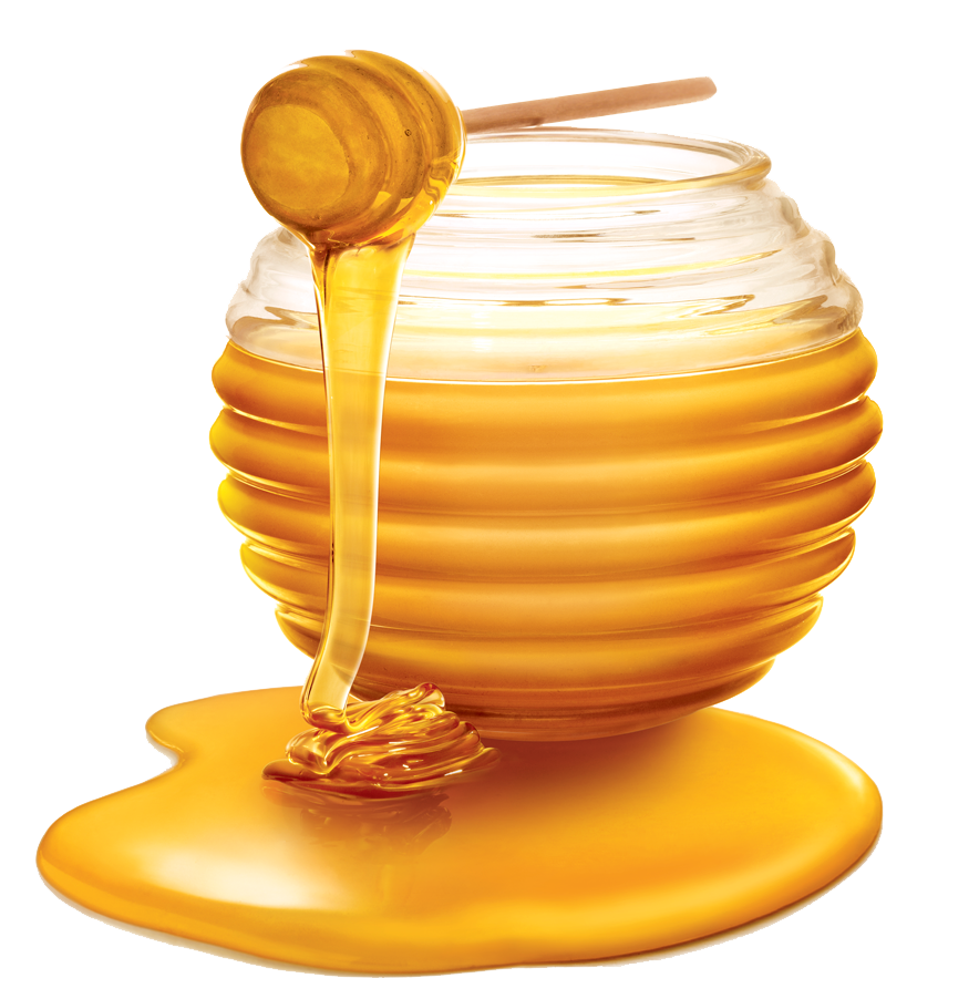 Home honeypng.parspng.com 3
